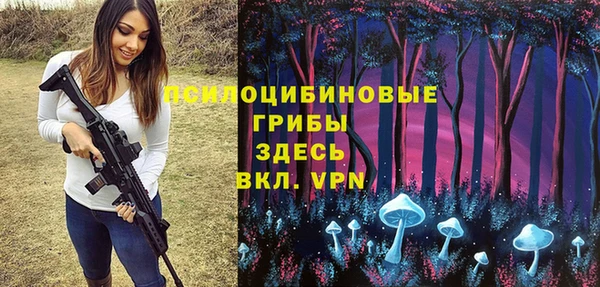 первитин Лиски