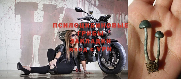 первитин Лиски